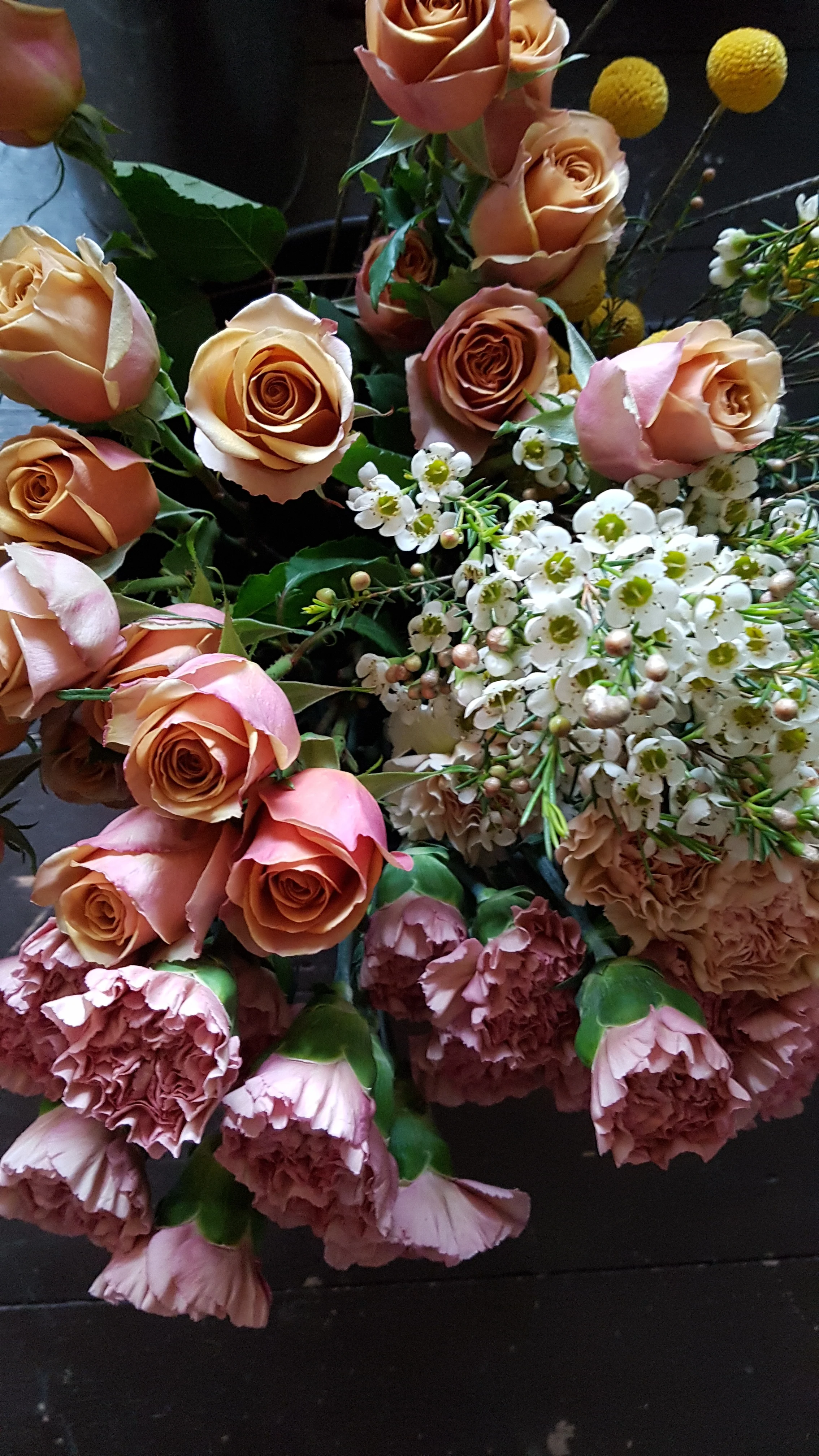20190316_072709.jpg