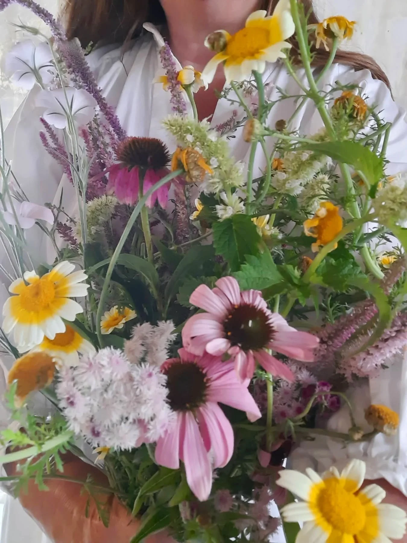 An armful of locally grown summer flowers at their absolute peak. Overflowing with wild romance, colour, and joy 🩷🌼🍃💛🌸 
.
.
.
#curated_nature #whimsicalwonderfulwild #flowerlovers #gardenstyleflowers #ayearinflowers #wildgardenstyle #seasonalflo