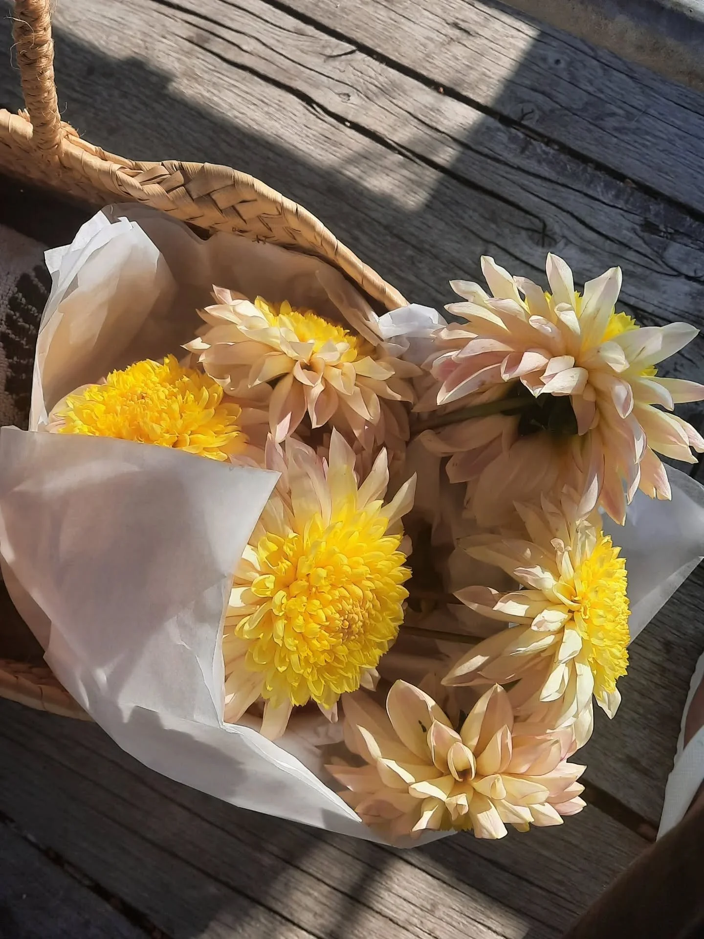 More sunshine, please, March 💛✨️🌼
Remember this lovely morning @littlepinkgarden ?

#aflowerfilledlife #bloooms #grownwithlove #joyfulliving #sunshineflowers