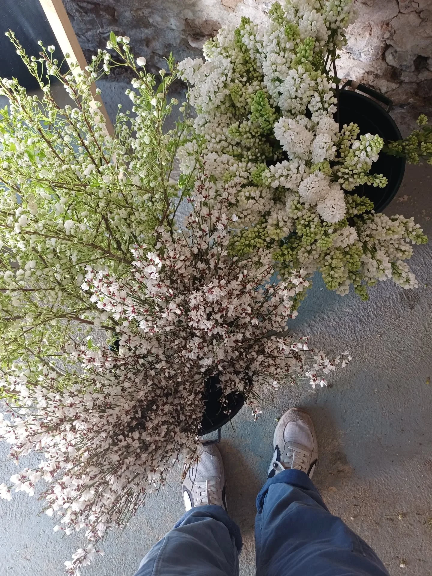 The week that spring "sprung" here in Sussex, just in time to coincide with the first of the years deliciously romantic weddings! 🤍 

As a floral designer, I'm forever grateful for the freedom to create with such beautiful ingredients and 