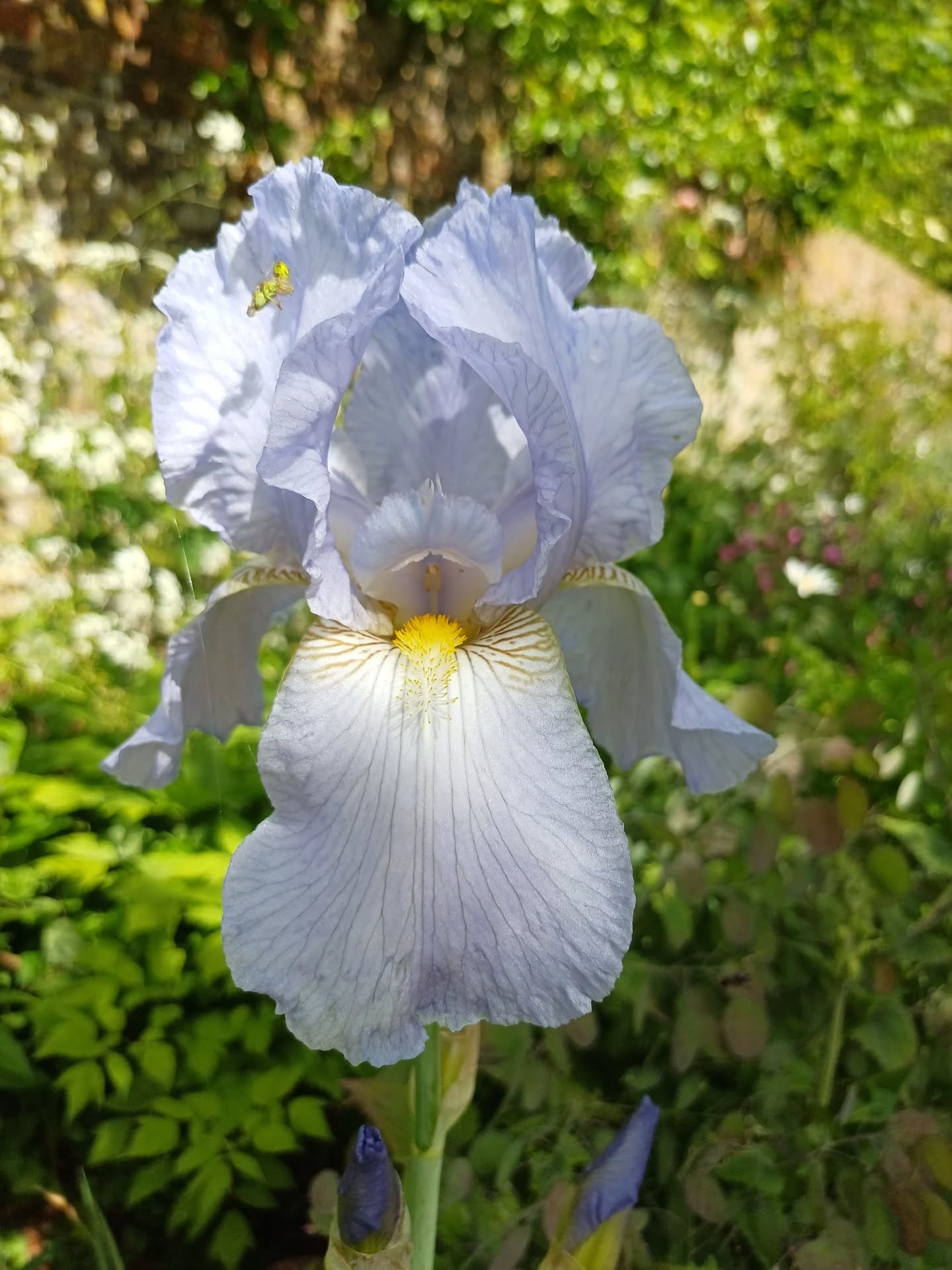 May -  a wild and wonderful ride of a month in terms of events and in-between the whirlwind of admin juggling, creating, countless flower collections and deliveries, design decisions, voice notes and laughter, making sure I had a packed lunch, water 