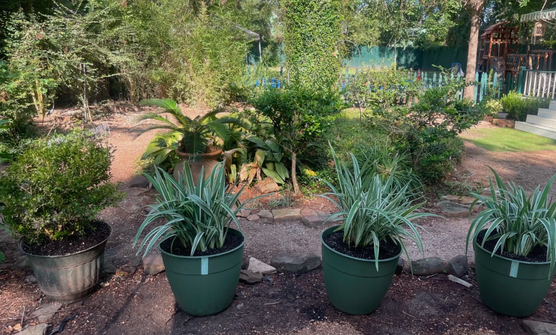 Garden.PNG