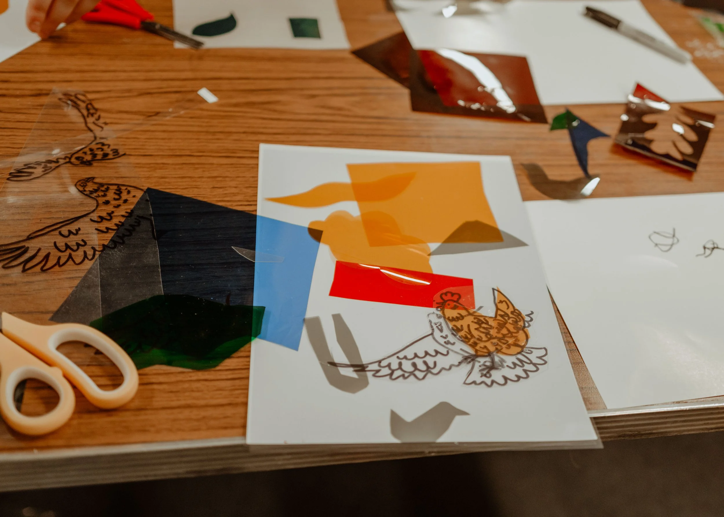 SAFS workshop Final edits-23.jpg