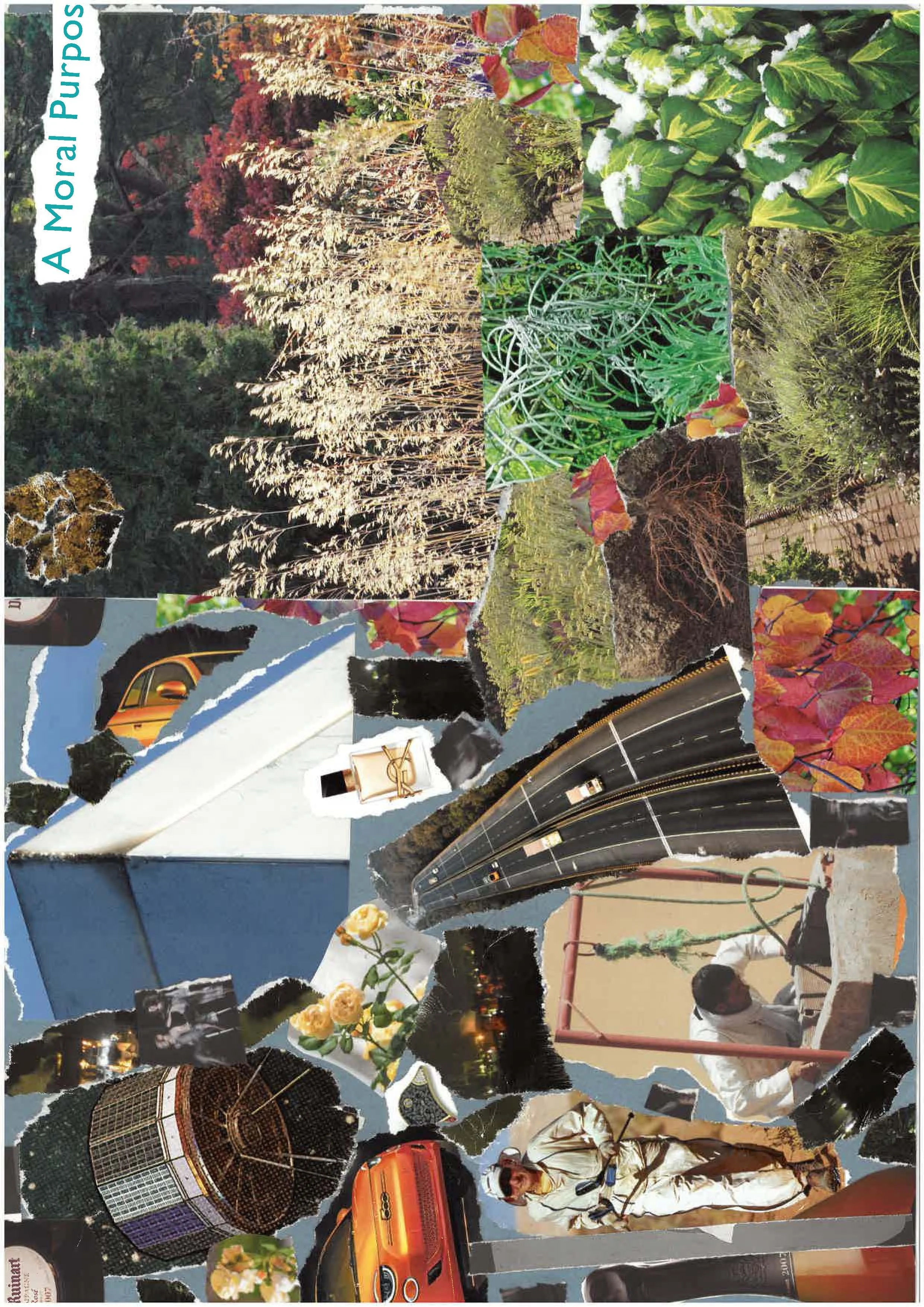 Collage 2.jpg