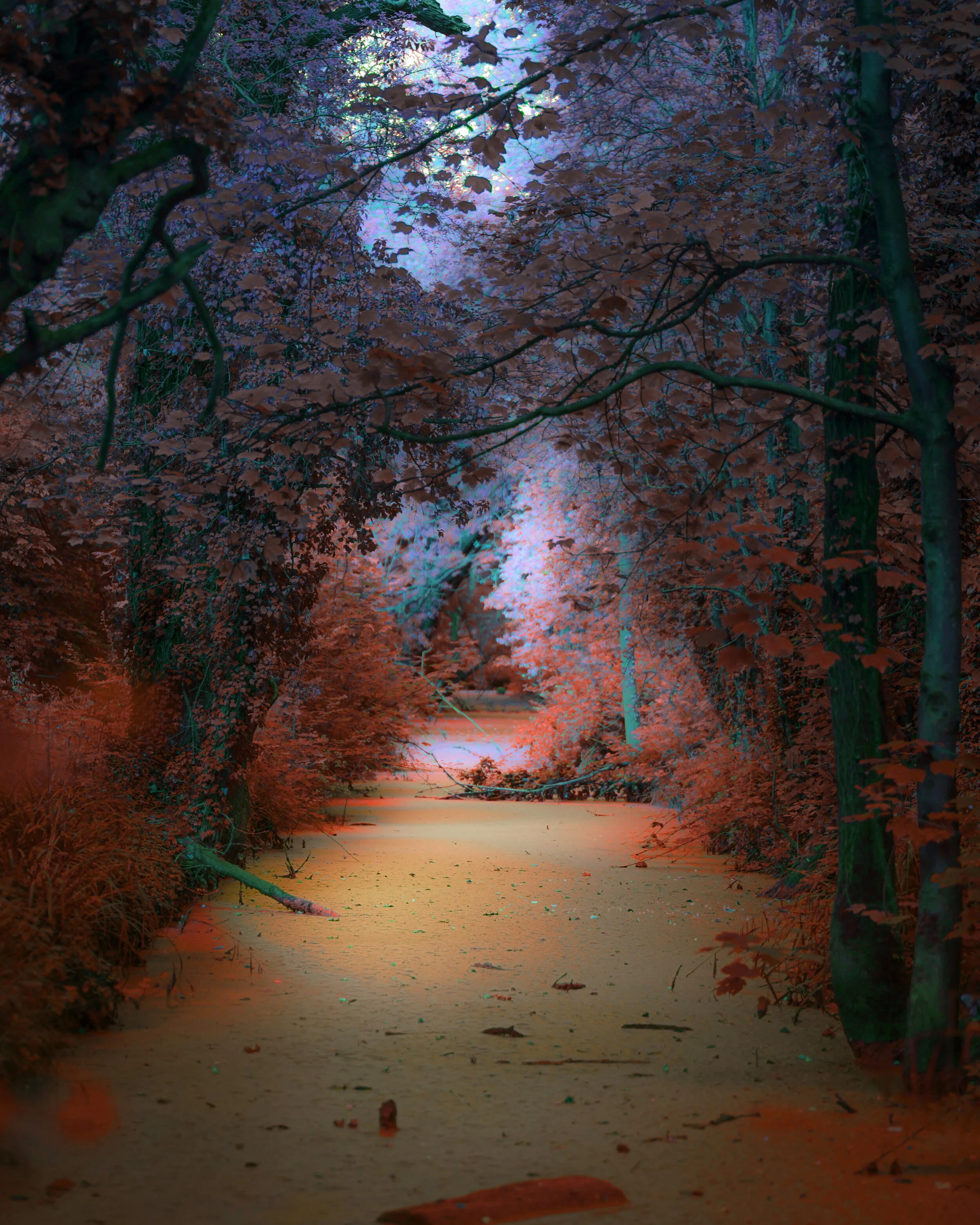 SANDWELL VALLEY copy-4.jpg