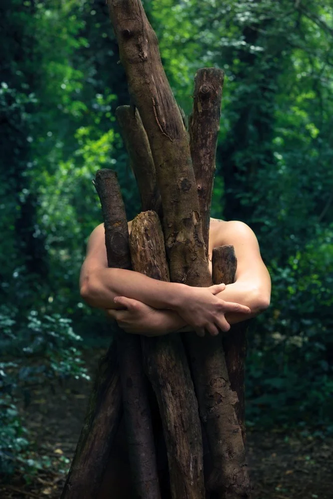 Save our forests