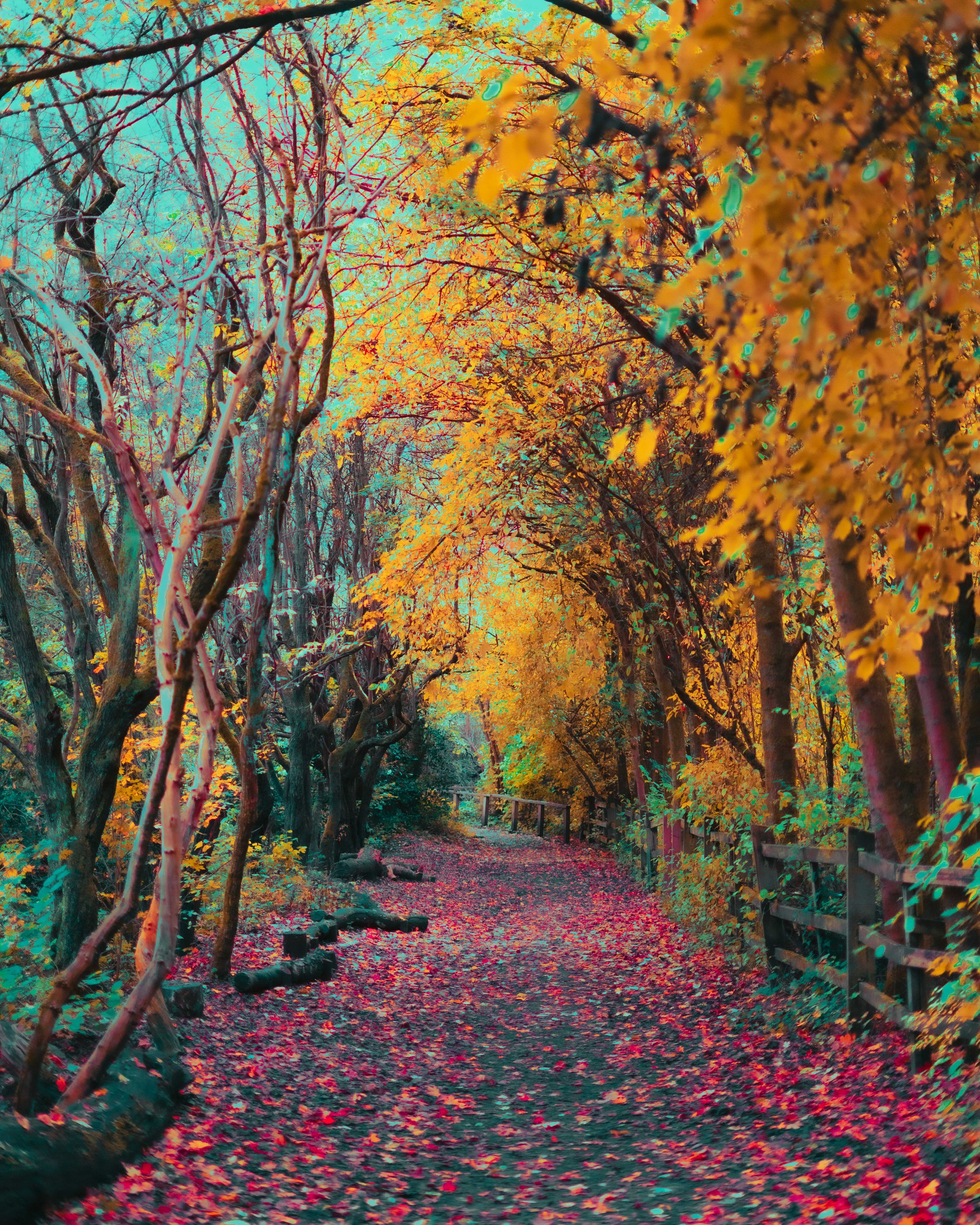 A Surreal Landscape 2.jpg