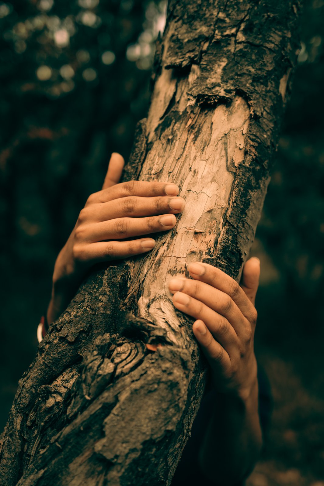 Nature studies-22.jpg