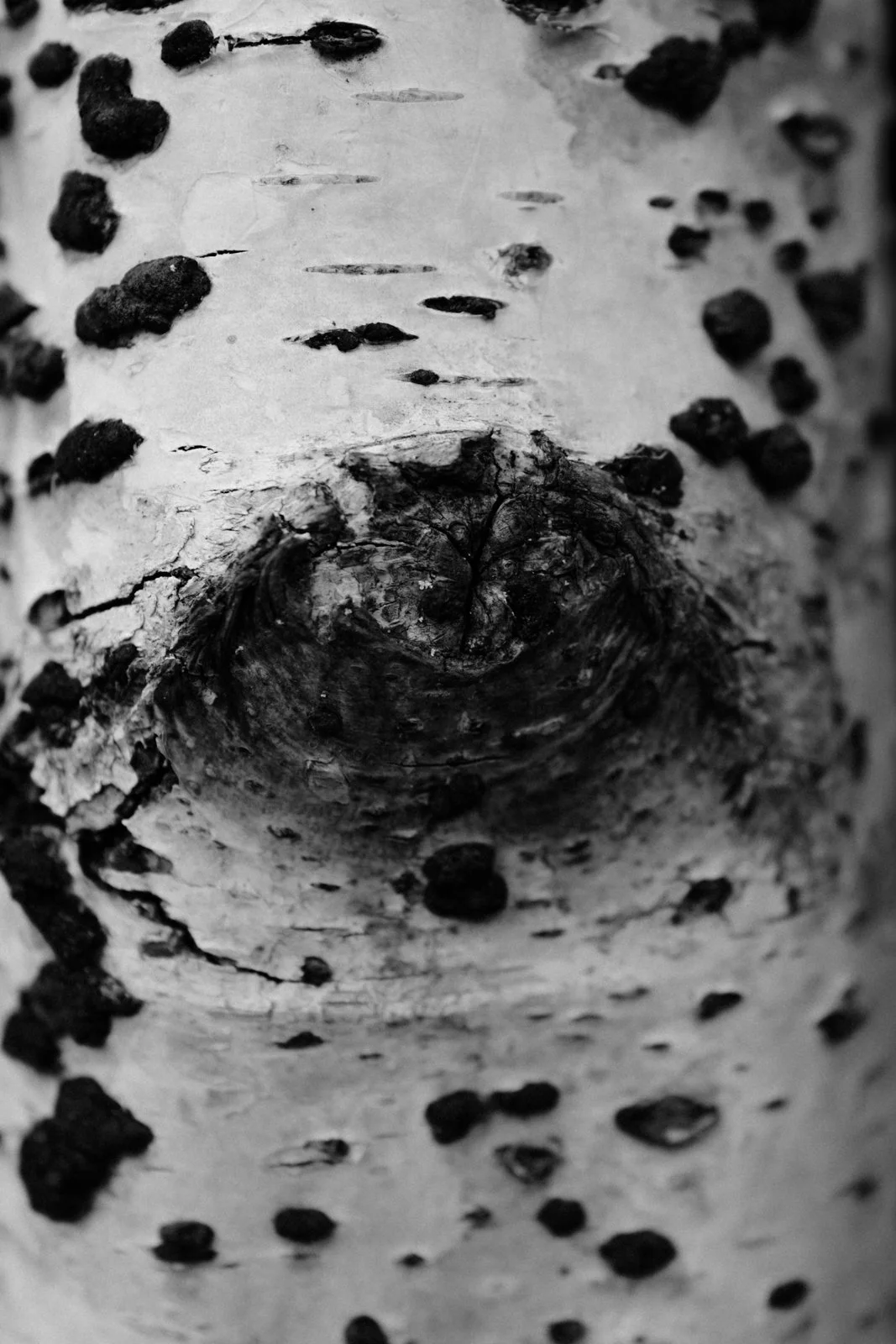 Nature studies-24.jpg