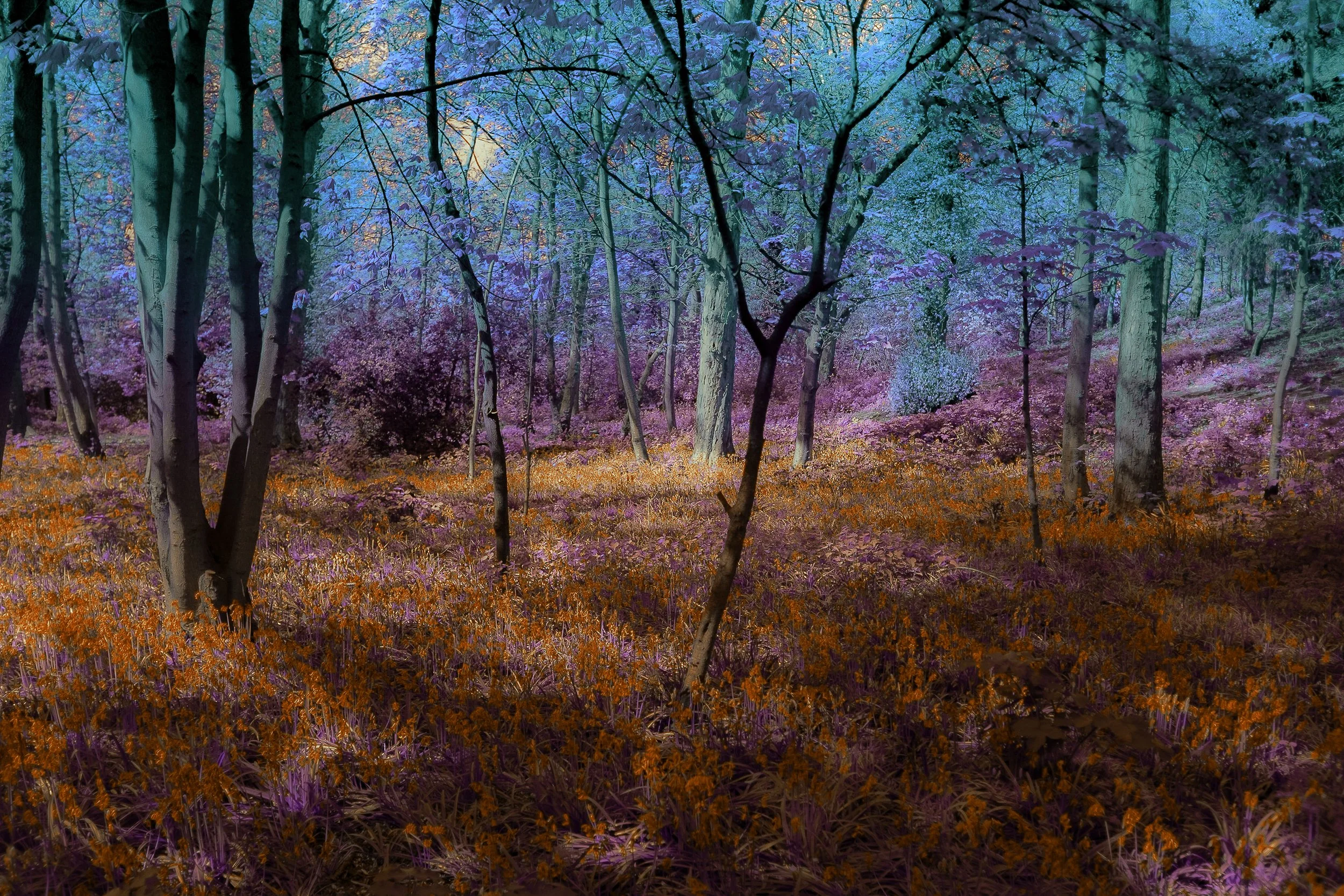 Sandwell valley bali-PS.jpg