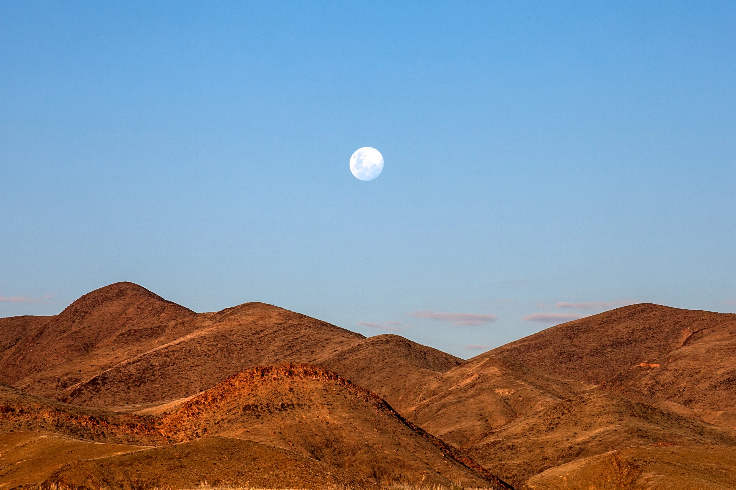IMG_4446-Edit.jpg