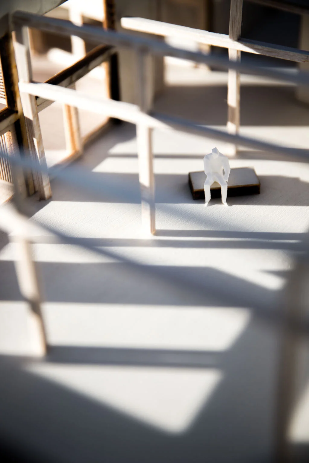 A Collective of Hybrid Homes