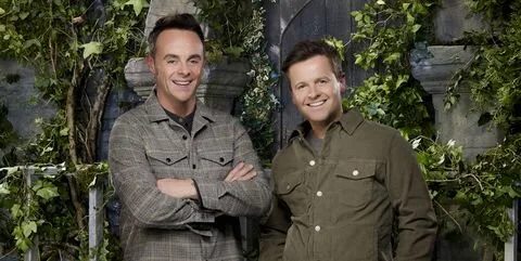 im-a-celebrity-series-20-ant-dec-1605040969.jpg