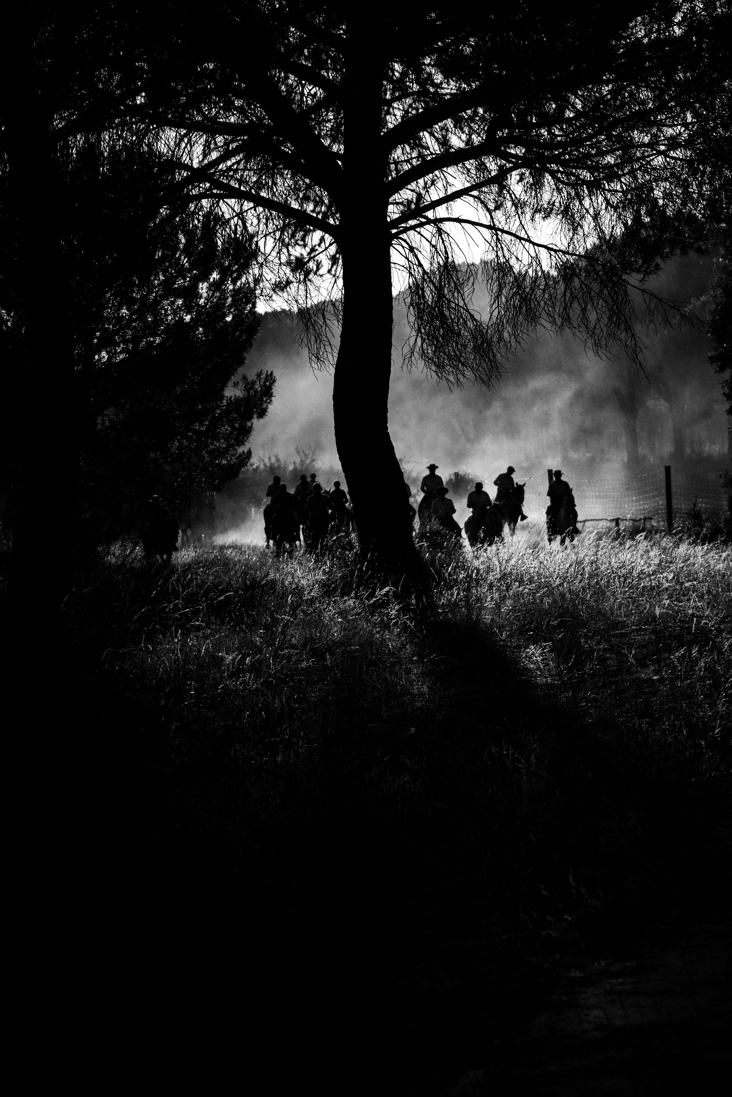 SACA 1504 - Manuel Naranjo Martell-20.jpg