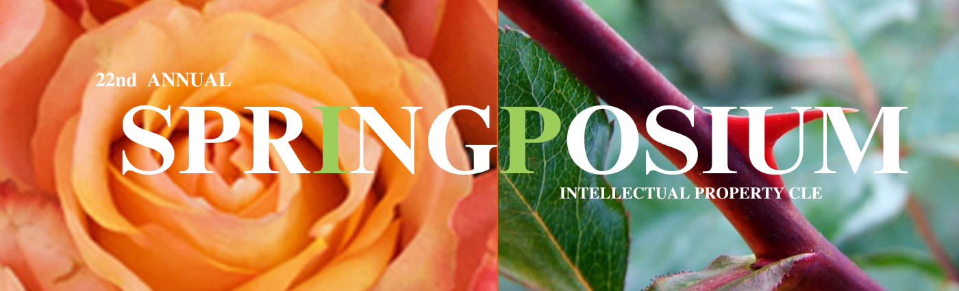 22nd Annual IP SpringPosium