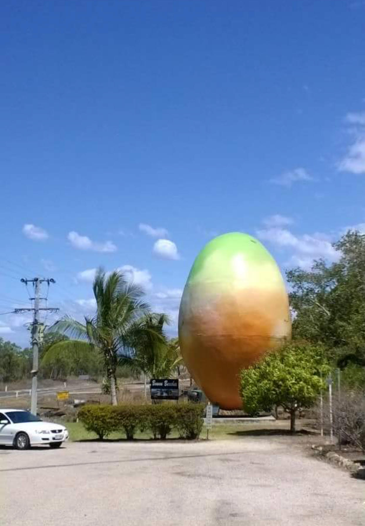 giant mango.jpg