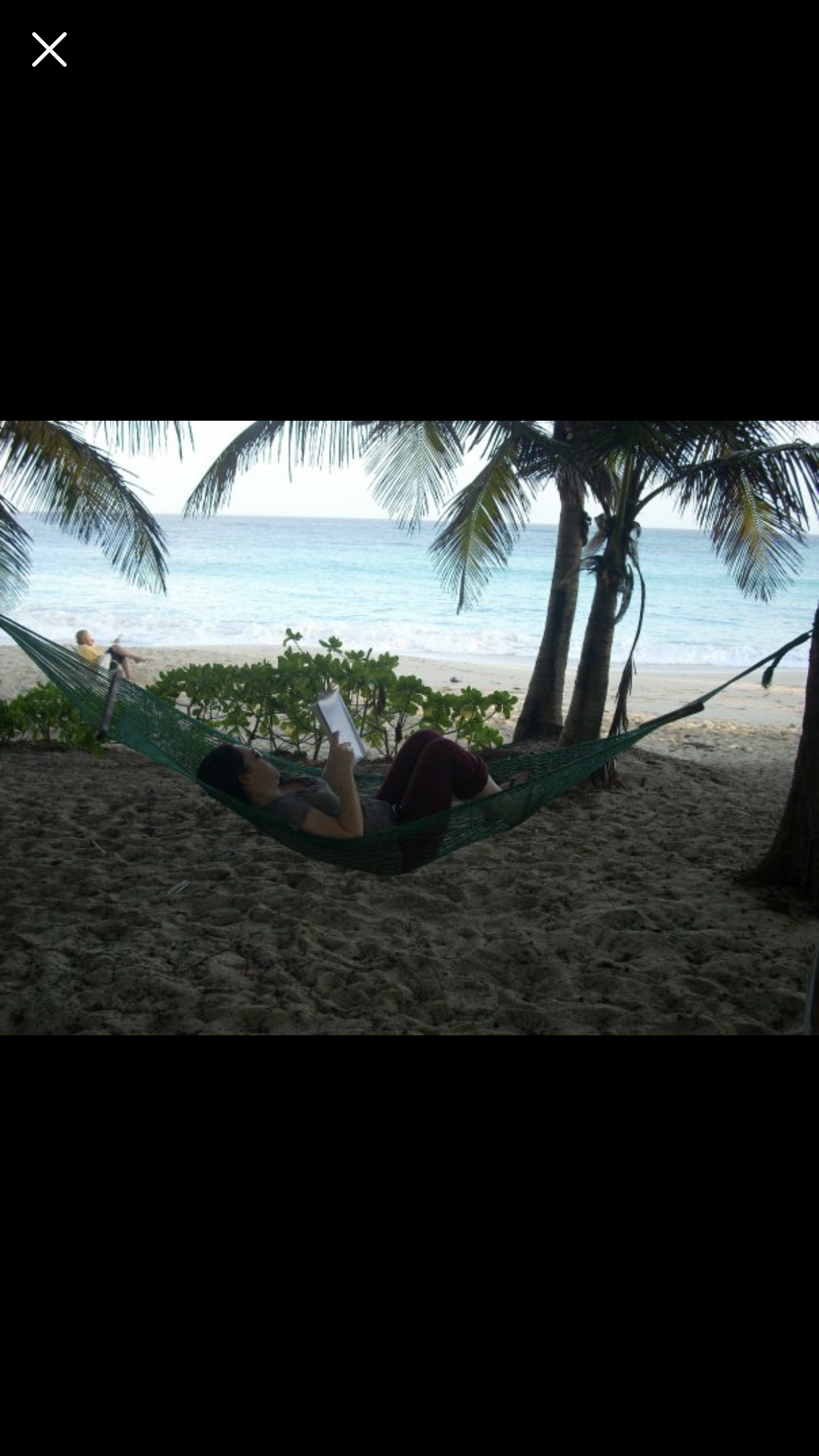 hammock.PNG