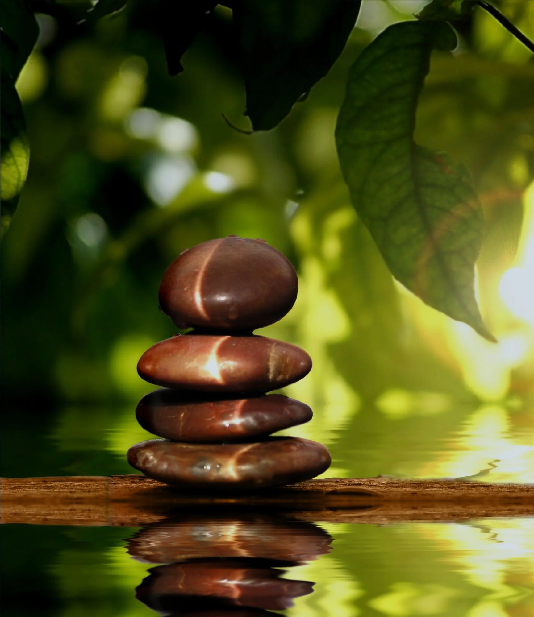 Meditation and yoga Exeter.jpg