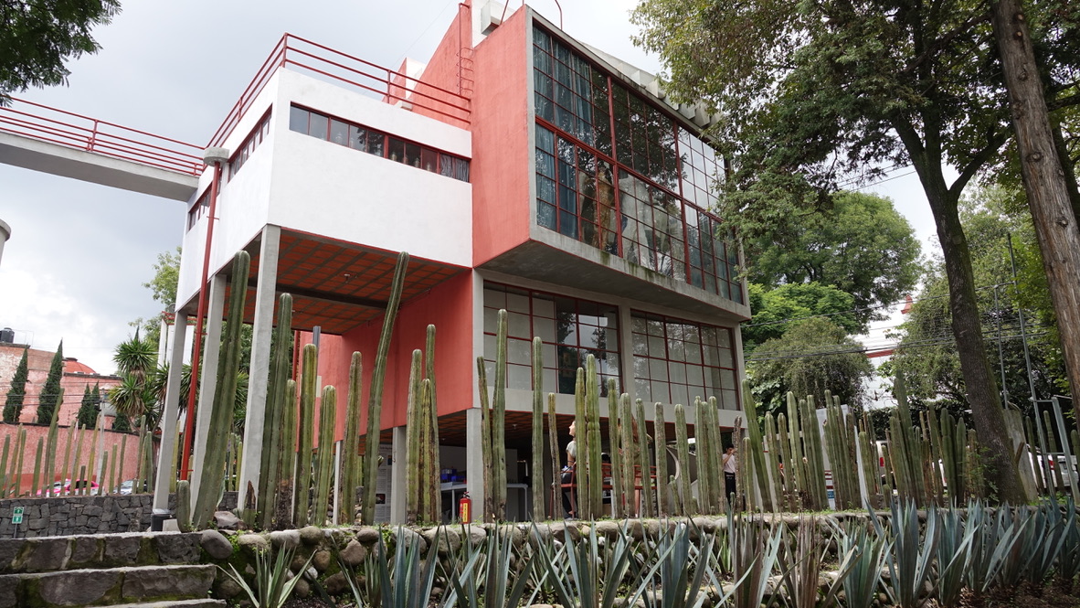 Explorer Diaries: Mexico City