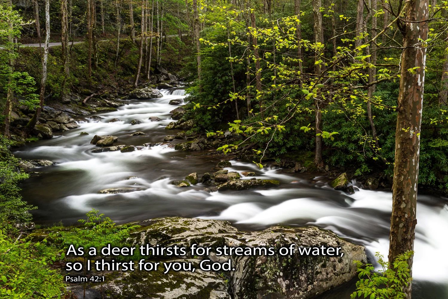 _RS20384-Edit_1.jpg