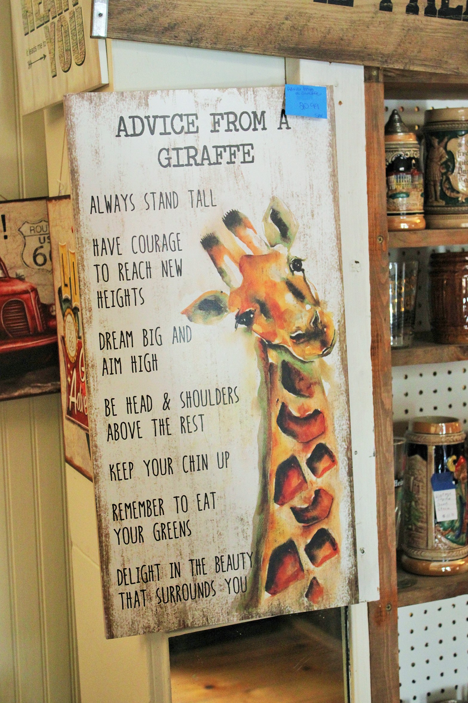 IMG_6527 - Copy - Copy.JPG