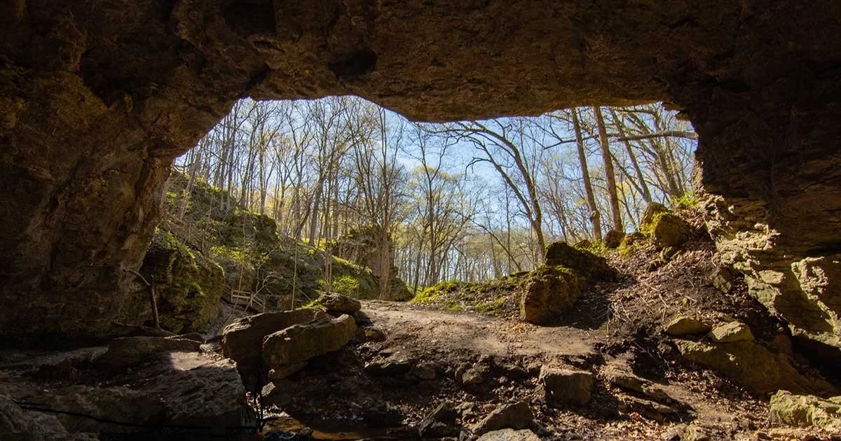 Run For The Caves