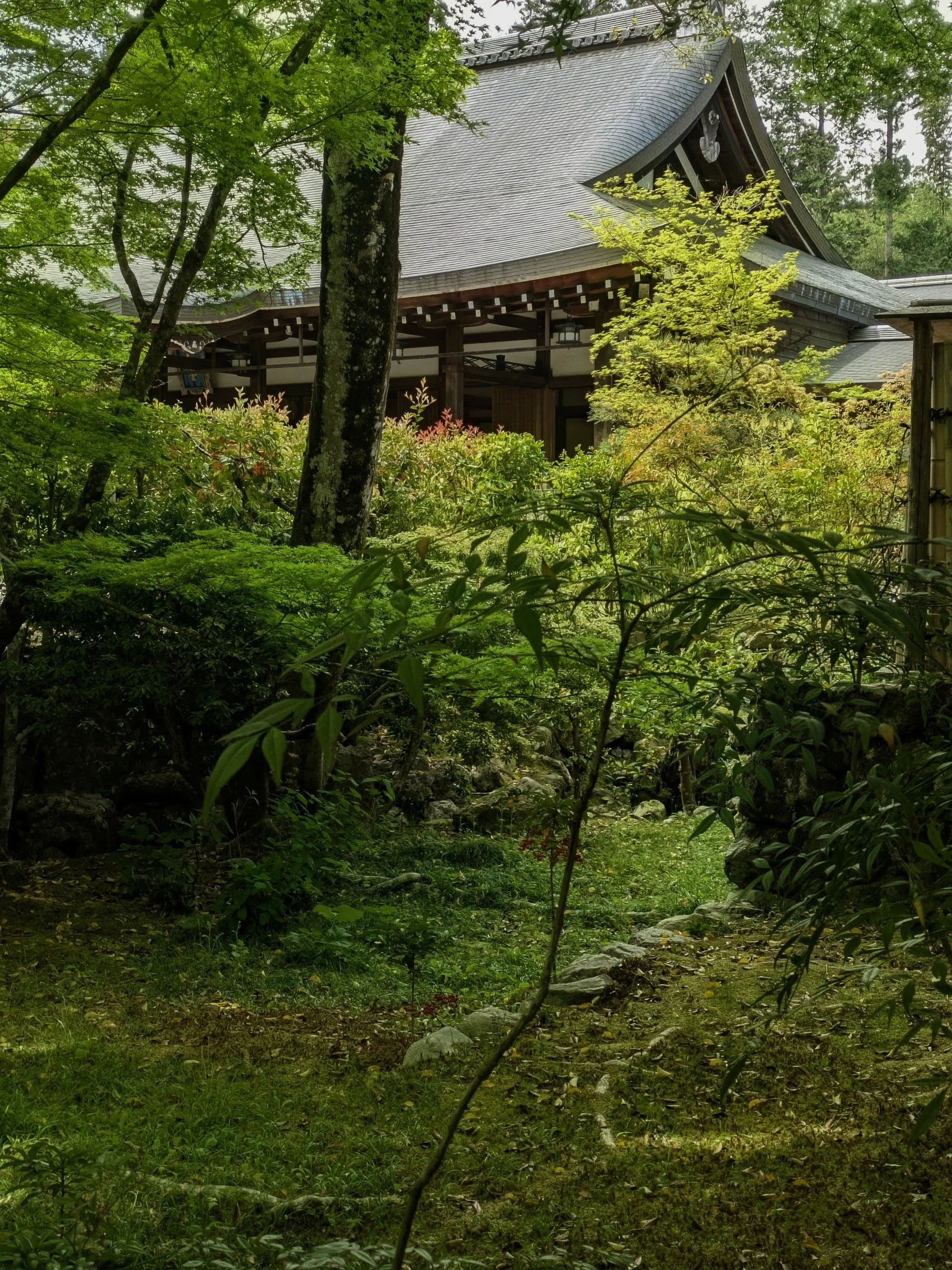 Shoji screen interior, diffused light Interior of a Japanese temple: traditional shoji paper screen panels casting soft, diffused natural light across a bare timber floor