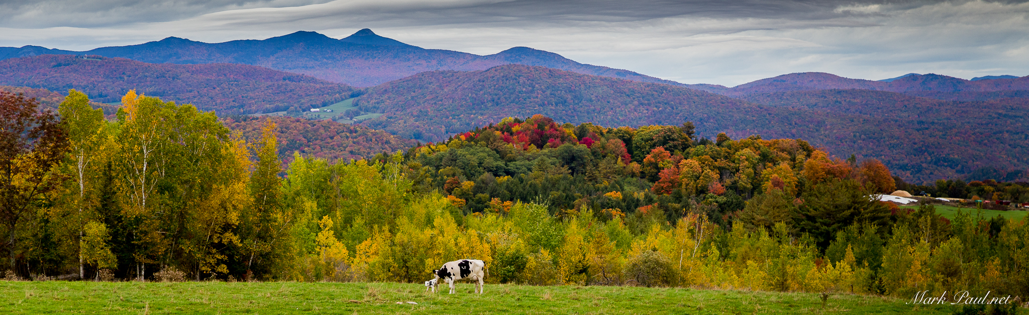 VT