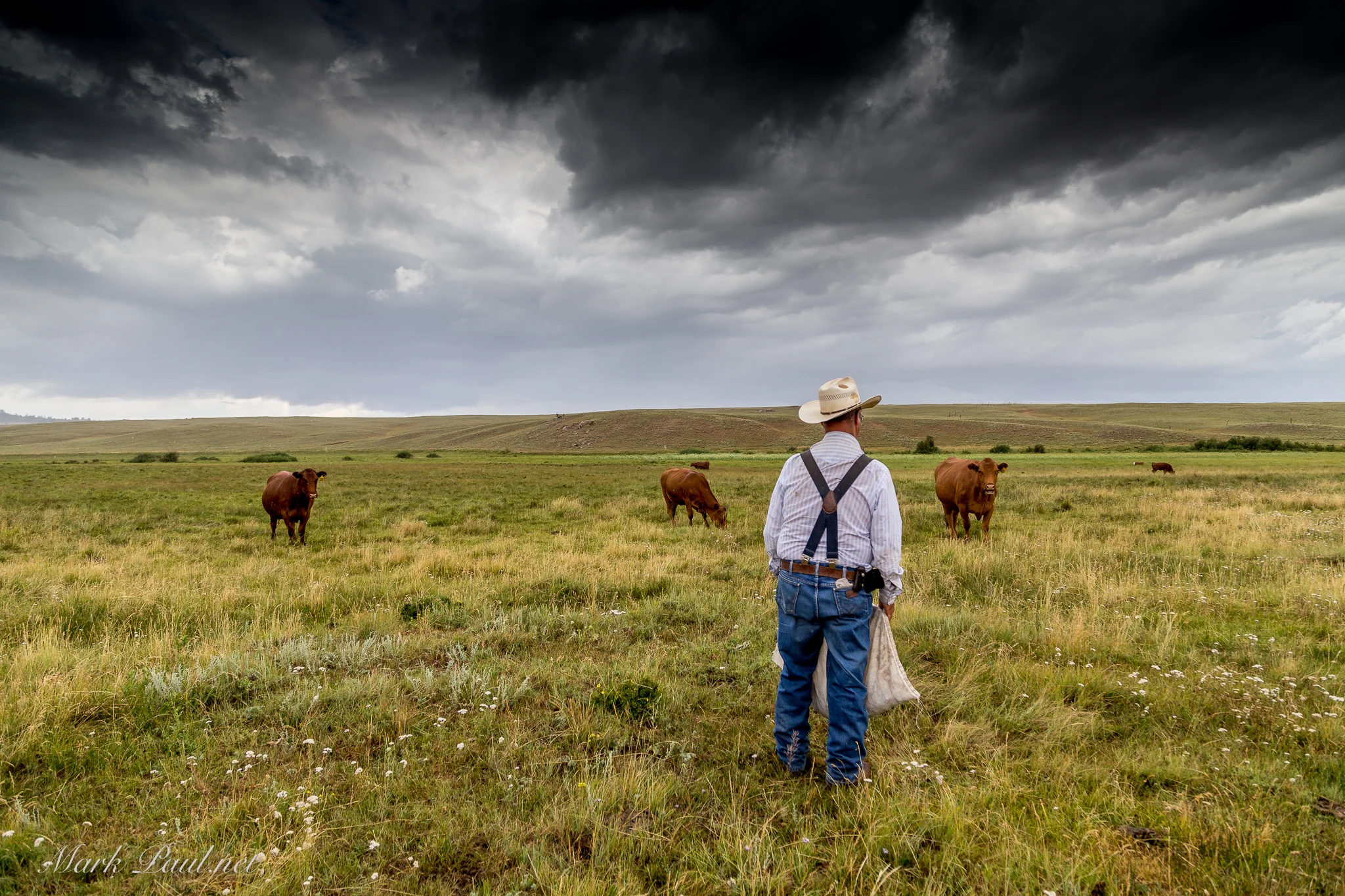 Cheyenne, WY