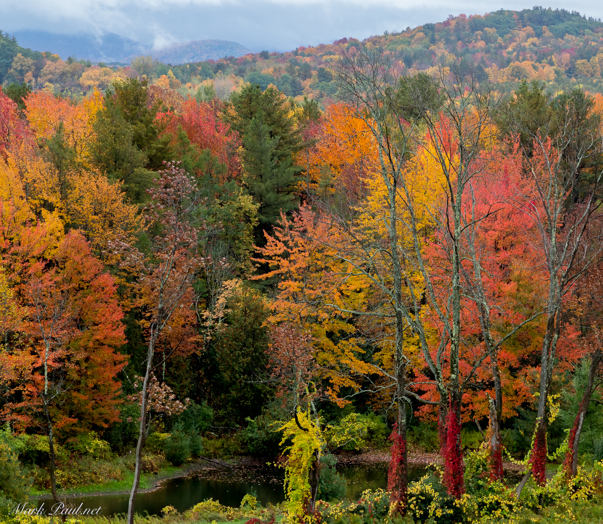 Vermont
