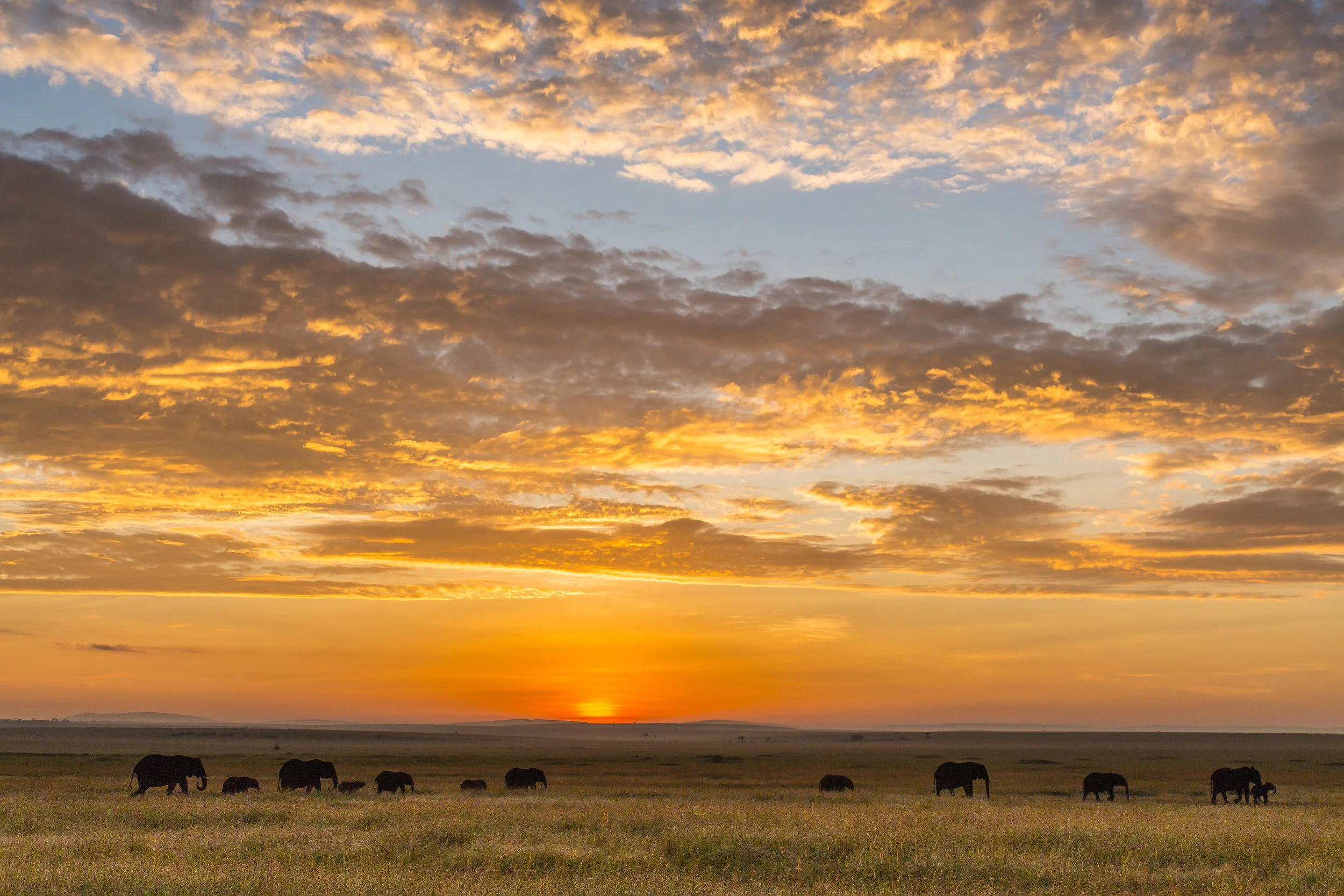 Maasai Mara Sunrise