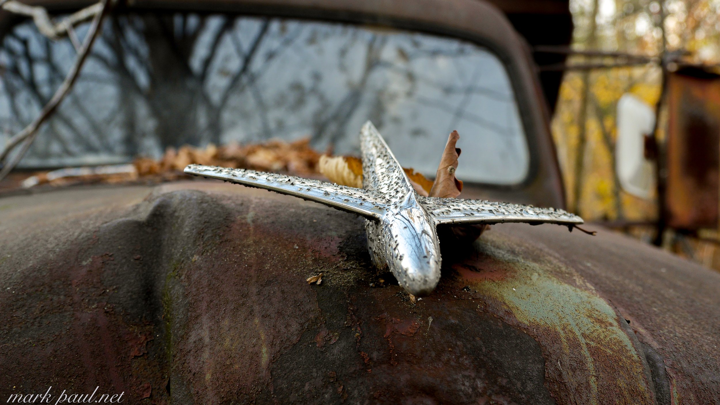 MarkPaulPhotography_oldtruck2.jpg