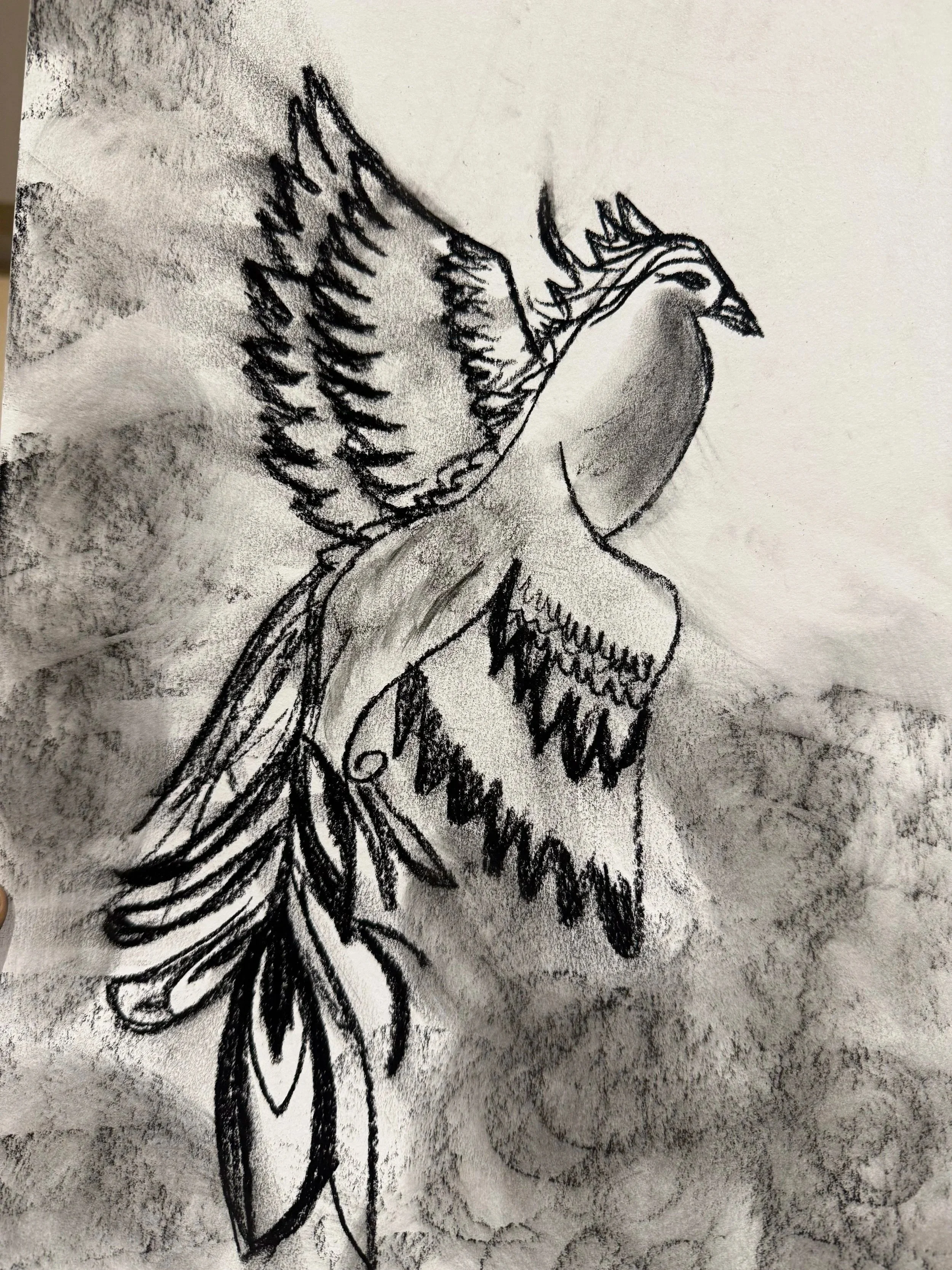 Phoenix, Charcoal on Canvas