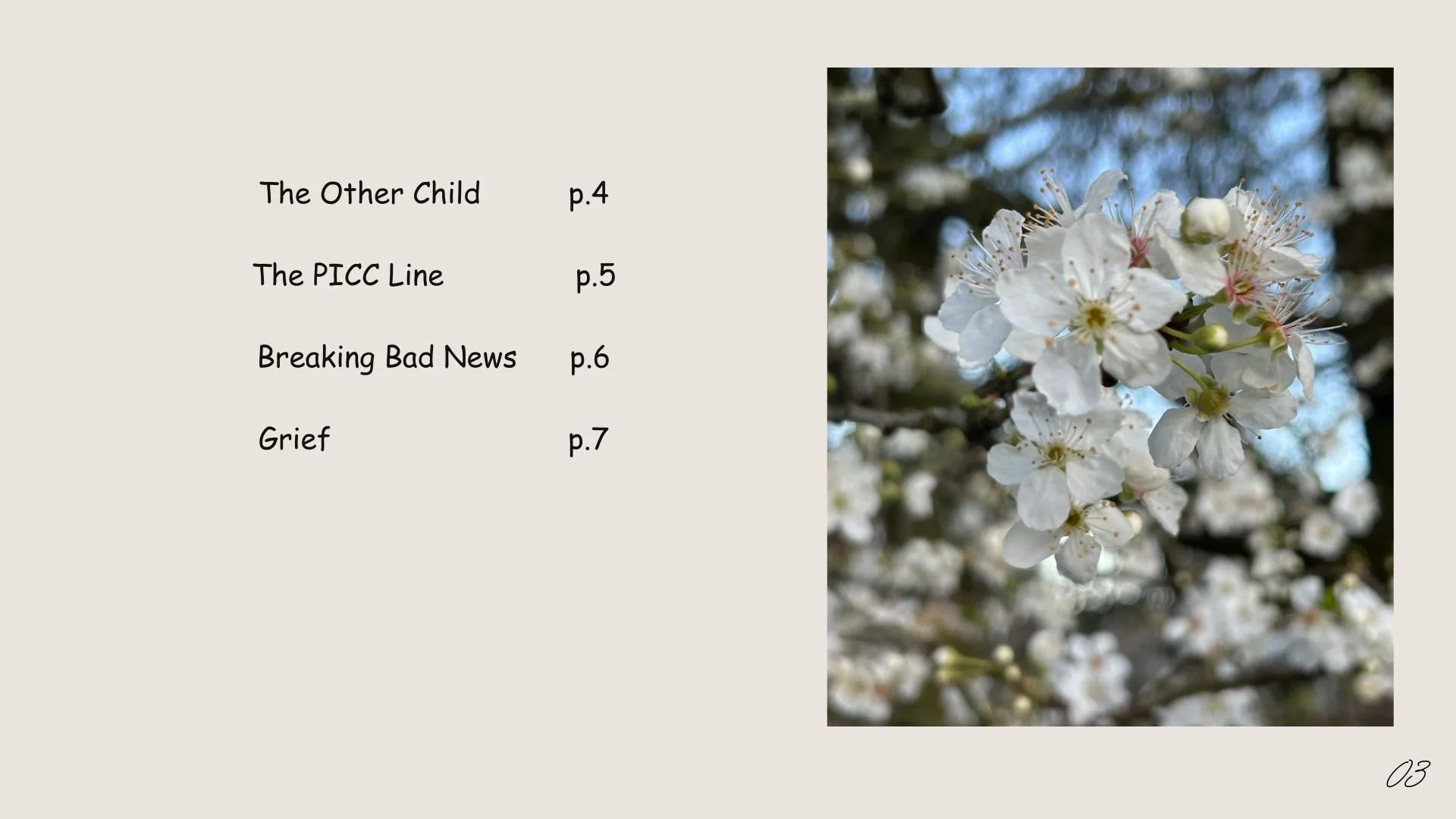 Submission from Dr. Miriam Colleran