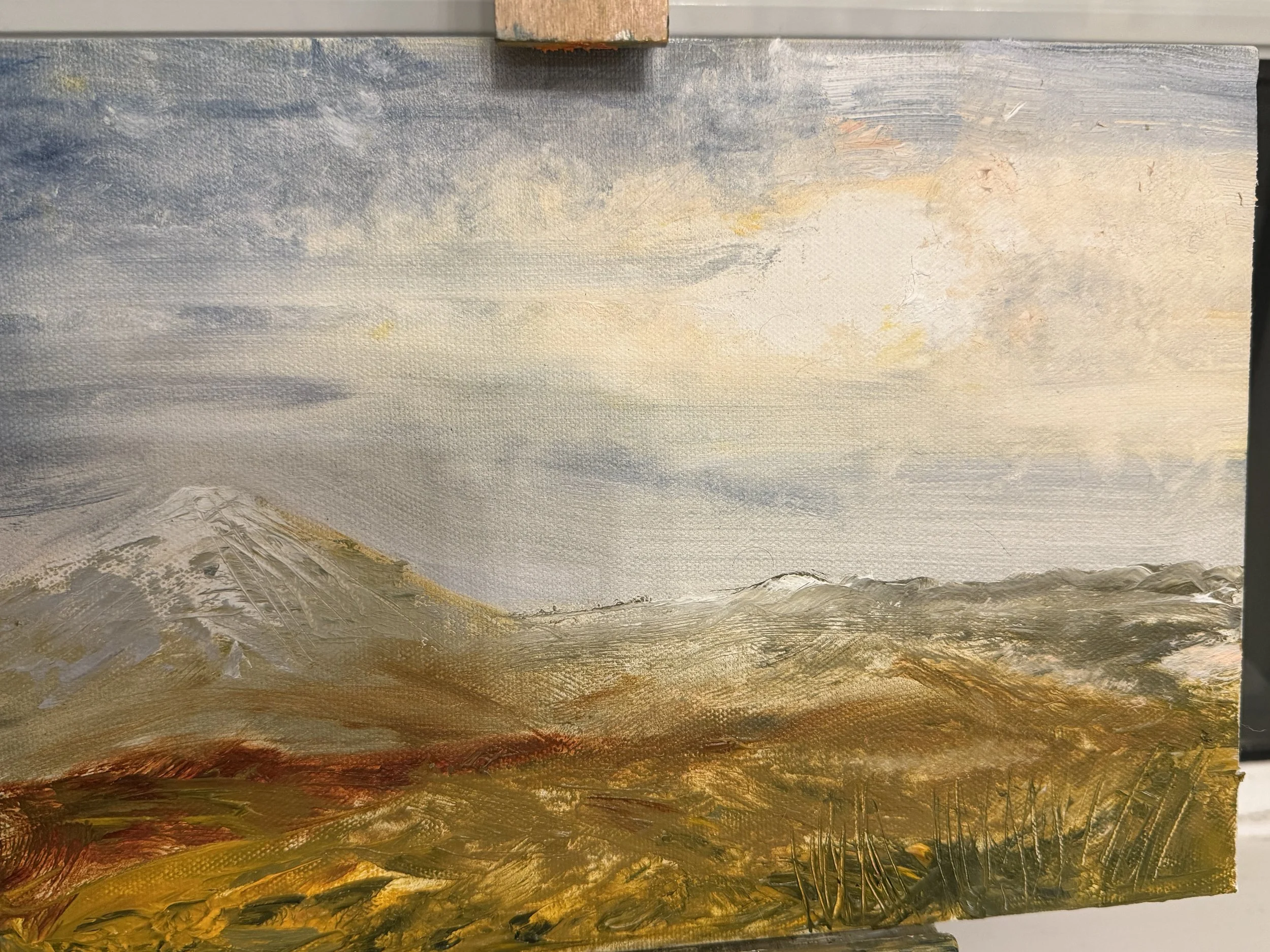 Submission from Dr. Ciara Leonard