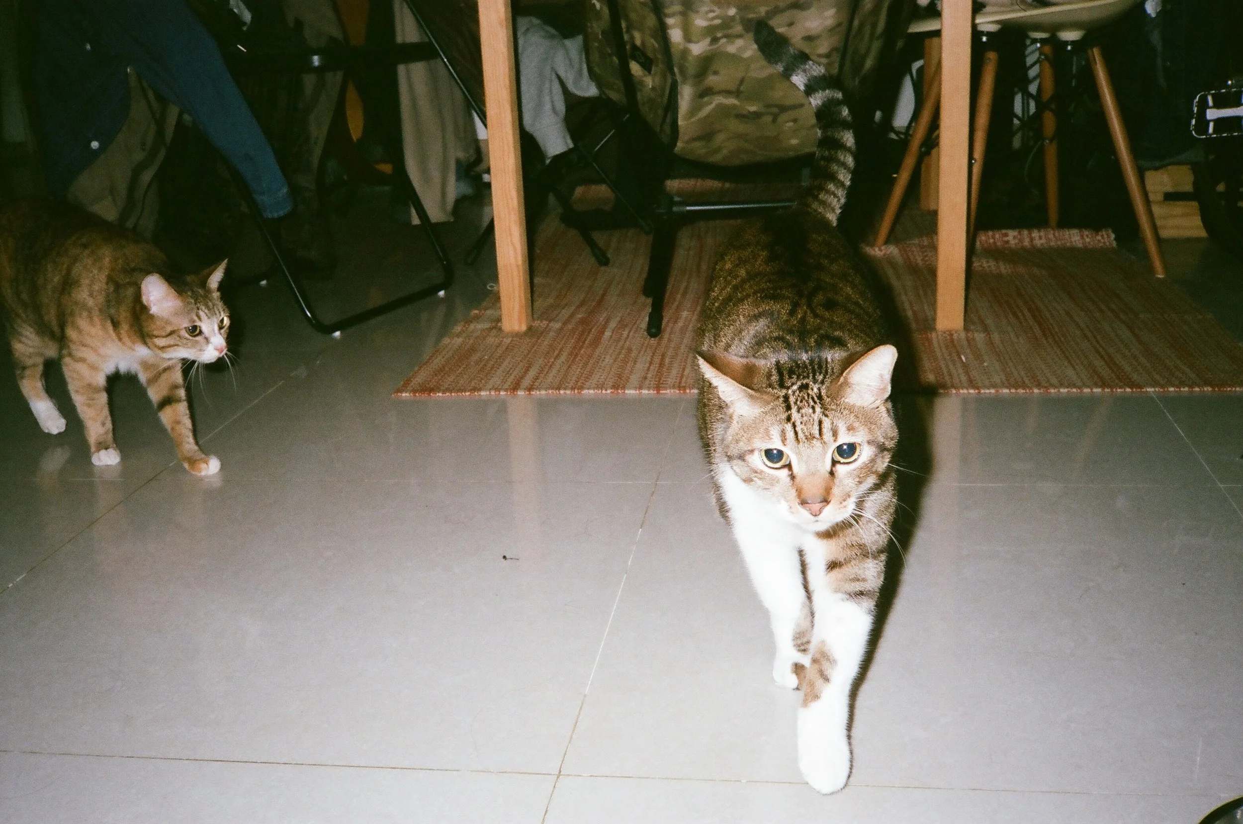 KonicaC35EF + Fujifilm Xtra400 / Taipei / 20190218