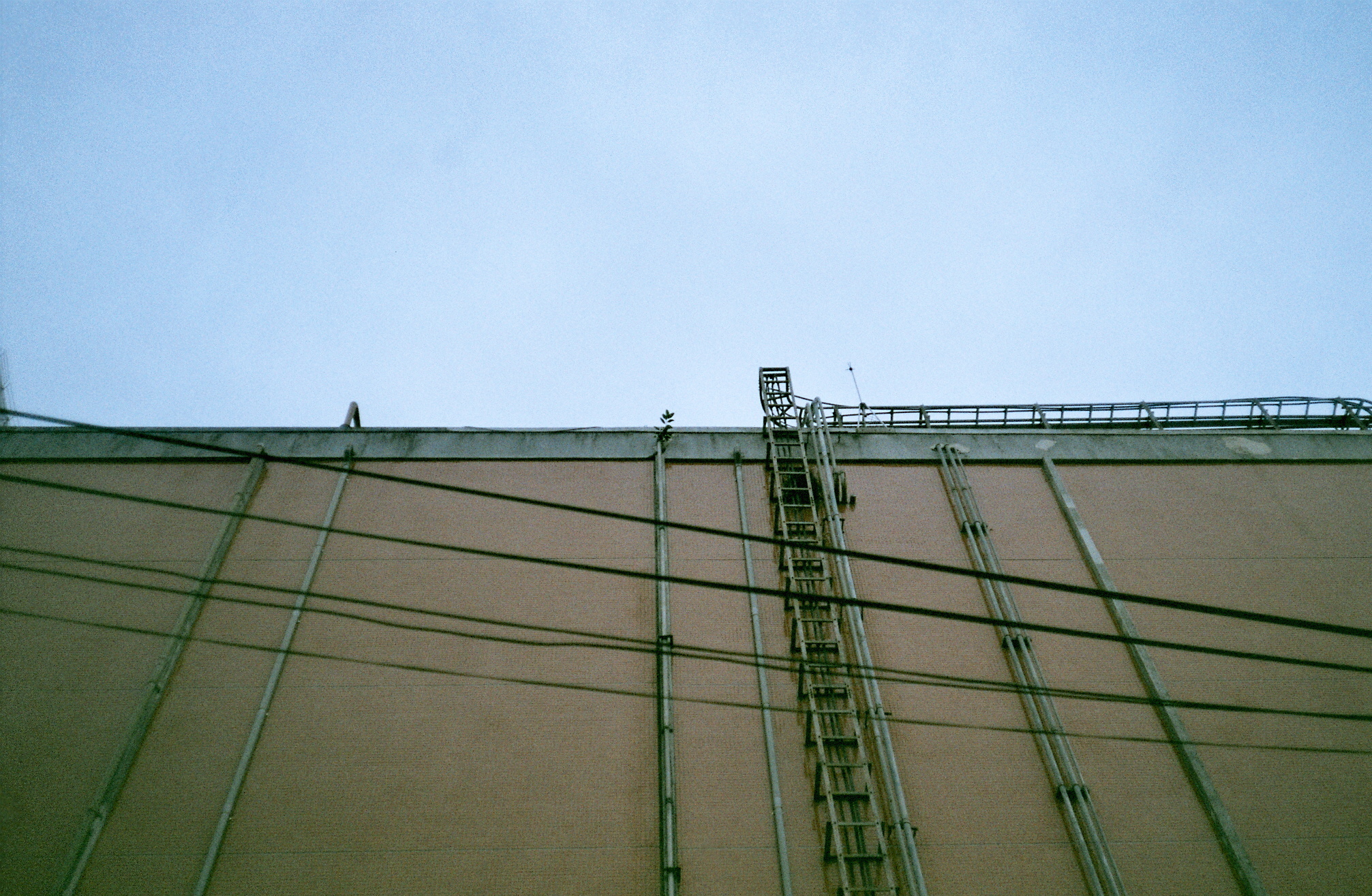 KonicaC35EF + Fuji color 100 expired film / Taipei / 20190309