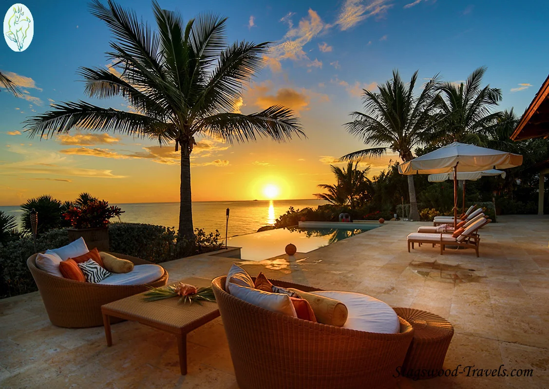 JVP28816 copy_web_logo_site.jpg