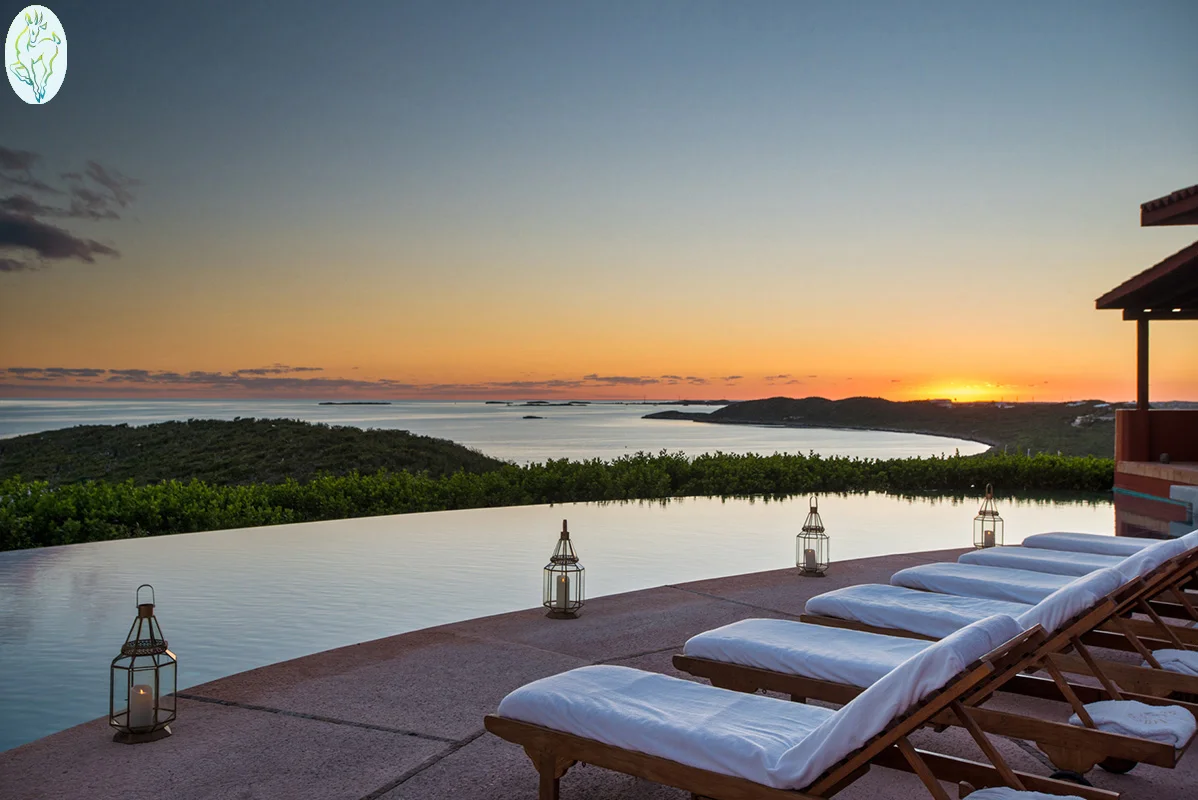 Bajacu - Feb 2018_44_web_logo_logo.jpg