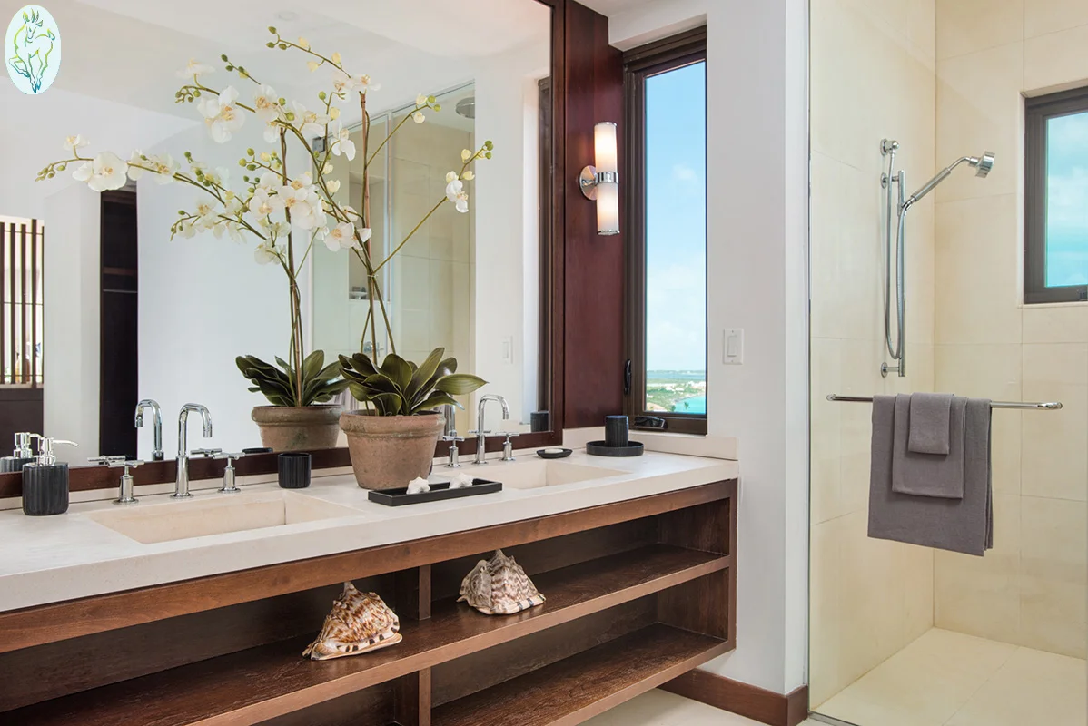 Bajacu - Feb 2018_10_web_logo_logo.jpg