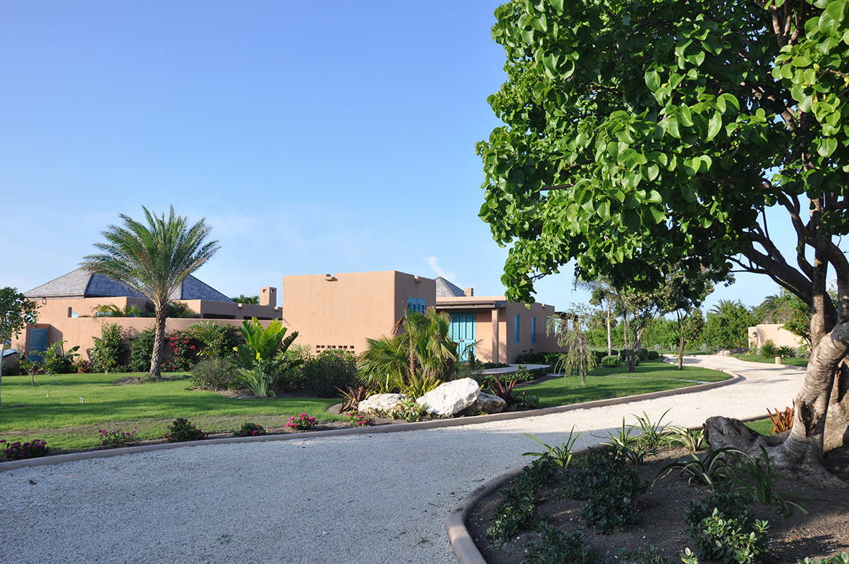 DSC_0533 - Copy_web.jpg