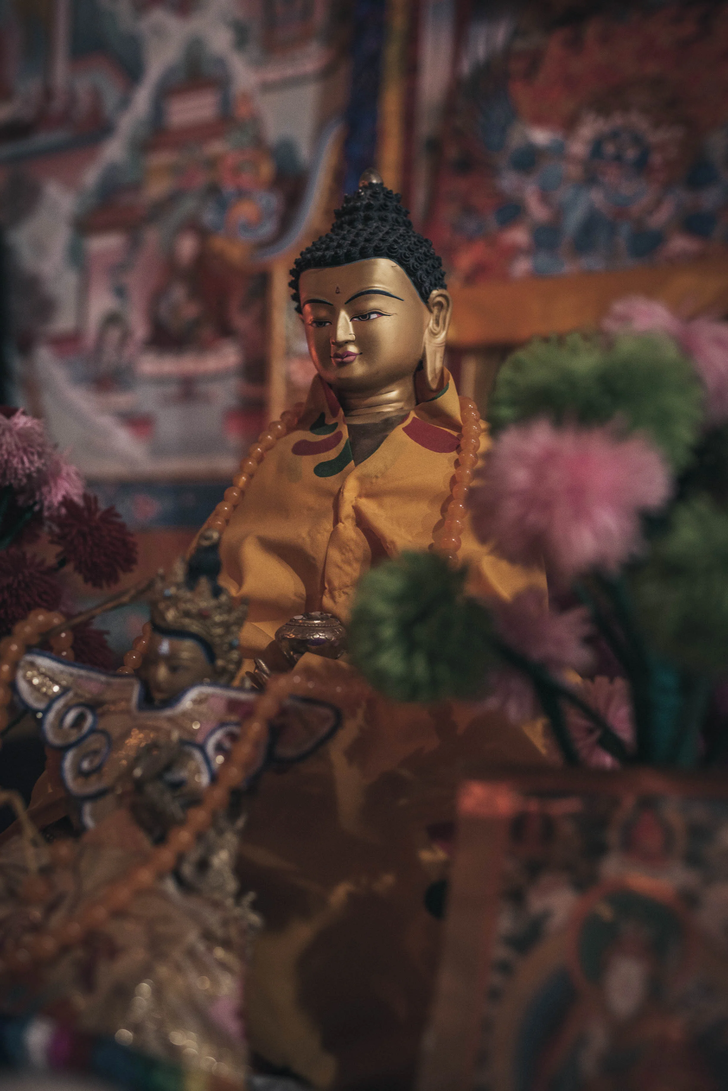 QRW_1412-web50.jpg