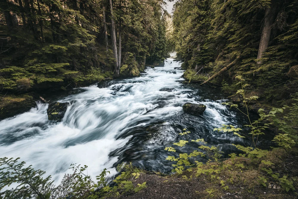 QRW_6446-web50.jpg