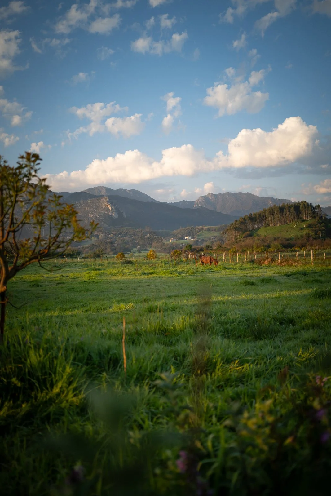 L1000328.jpg