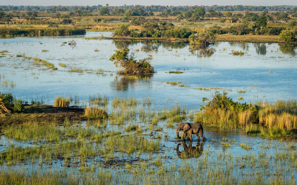 Okavango2.png
