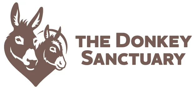 Donkey Sanctuary.jpg