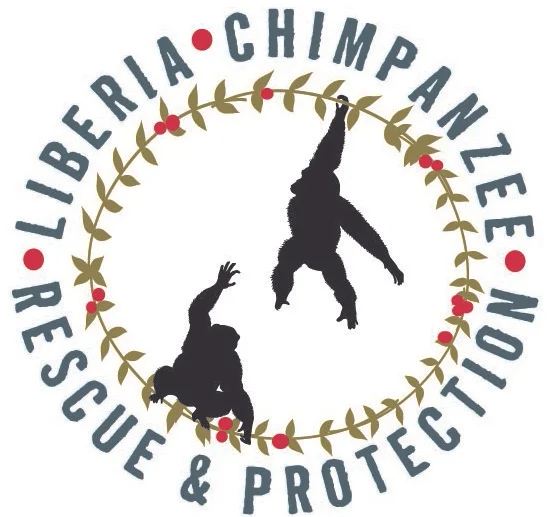 Liberia Chimpanzee Rescue.jpg