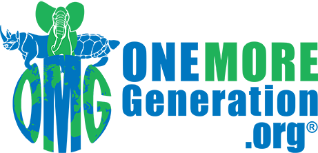 One More Generation.png