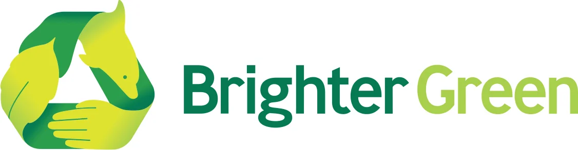 Brighter Green.jpg