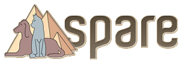 SPARE.png